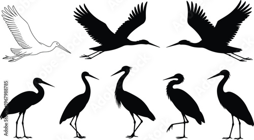 Set of heron bird silhouettes, flying and standing crane wildlife collection, elegant long leg water birds vector illustration isolated on white background
