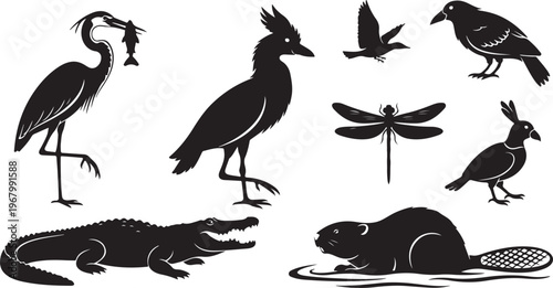 Black and white of various birds perched on branches and flying in the sky