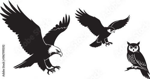 Black cat with wings and bat wings flying in dark sky silhouette