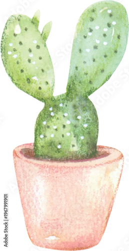 Watercolor Potted Cactus Illustration