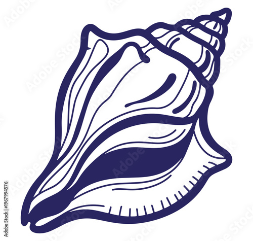 Elegant hand drawn sea shell illustration in dark blue on a clean white background