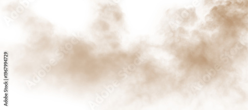 Obraz na płótnie Dust, sand, soil, smoke cloud particles isolated on a clean transparent or white background