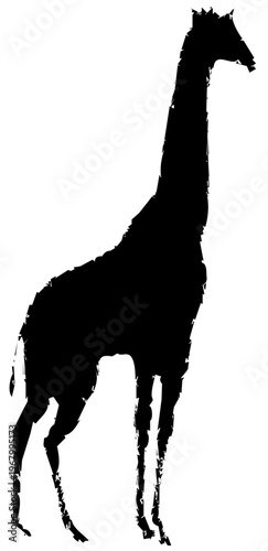 Cute Animal Character Illustration – Creative Cartoon Animal Designs