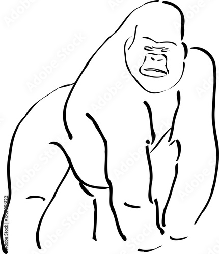 Cute Animal Character Illustration – Creative Cartoon Animal Designs