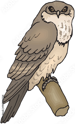 Cute Animal Character Illustration – Creative Cartoon Animal Designs