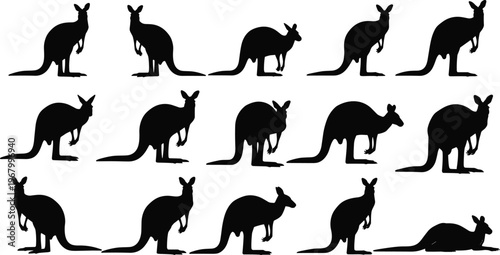 Kangaroo silhouettes collection showing standing, jumping, and resting poses, Australian wildlife animal set isolated on white background, nature illustration for design, education, and safari themes