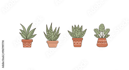 Four Potted Succulent Plants in Terracotta Pots 1.