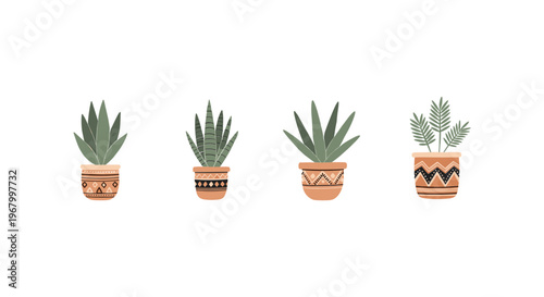 Four Potted Succulent Plants with Decorative Pots.