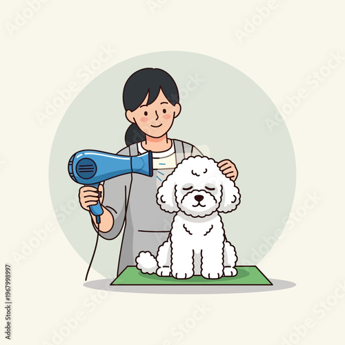 Groomer drying fluffy white poodle with hairdryer, happy dog grooming, pet care, salon service