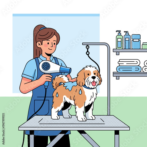 Groomer Drying Dog with Hair Dryer on Table, Pet Care, Grooming Salon