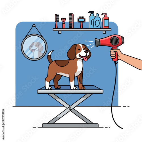 Cute dog drying with hairdryer at grooming salon, happy pet care, professional grooming service