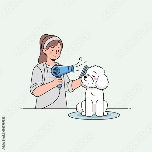 Groomer drying and brushing a fluffy white poodle dog with a hairdryer and comb