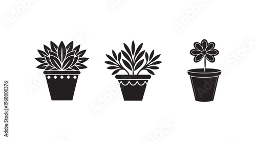 Black and white illustrations of potted plants with different leaf shapes and pot designs in a row on white background  simple botanical icons