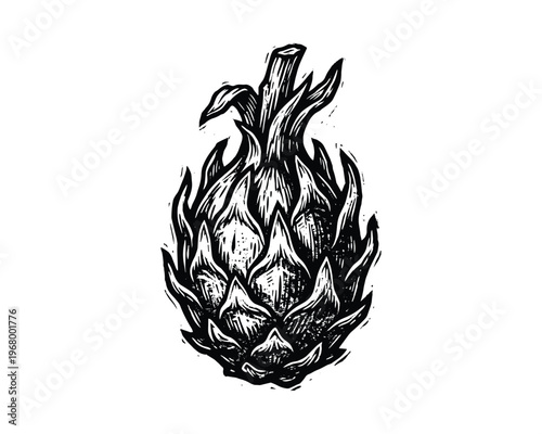 Dragon fruit illustration, linocut style, black and white, exotic fruit, isolated.