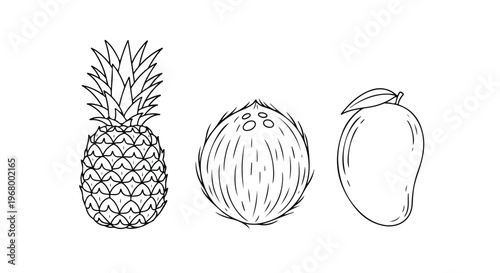 Minimalist tropical fruit line art set, hand drawn pineapple coconut and mango vector icons, black and white exotic food illustrations for coloring