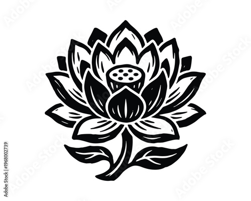 Engraved lotus flower, hand drawn sketch. water lily bloom with stem and leaves. botanical plant illustration