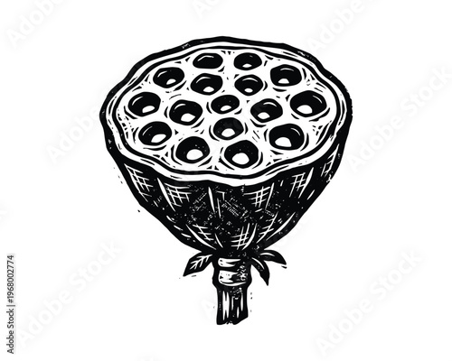 Engraved lotus seed pod, hand drawn sketch. water lily seed head. botanical plant illustration