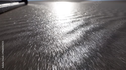 Sunlight reflecting off the surface of dark fur texture