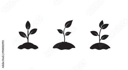 Black silhouettes of three small plants growing in soil with leaves on white background  plant growth concept