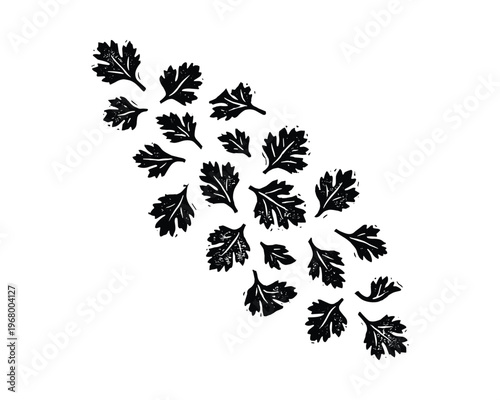 Fresh parsley leaves, herbs, culinary garnish, scattered foliage, isolated graphic element