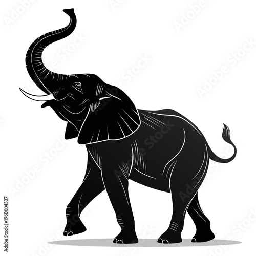 Close-Up Skin Texture