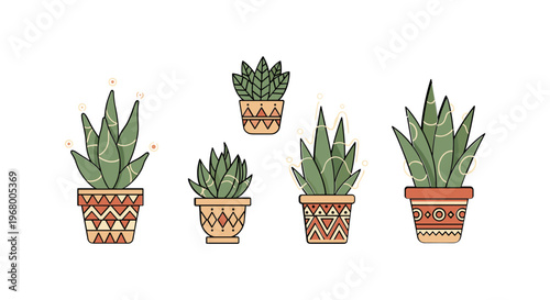 Potted Succulent Plants with Decorative Containers.