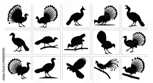 Collection of black peacock silhouettes in various poses and fan displays on white background