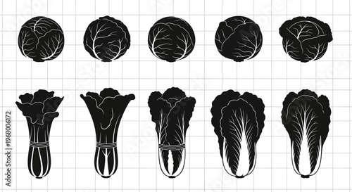 Detailed black and white illustrations of cabbage heads and cut cabbages on a grid background for food design