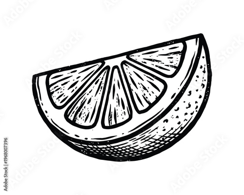 Hand drawn lemon slice. Refreshing citrus fruit art. Food ingredient for design.