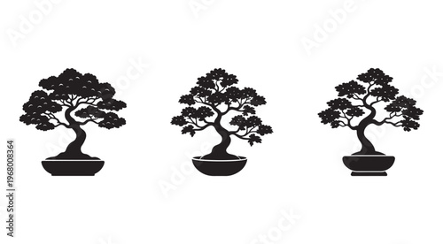 Bonsai trees in pots  three black silhouettes isolated on white background  bonsai trees  plants