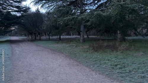 Wallpaper Mural A gravel trail winds past heavy evergreen trees and frost-touched grass. The dim morning light creates a mysterious and lonely mood. It is a quiet, chilly moment for a peaceful walk in nature. Torontodigital.ca