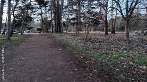 Wallpaper Mural A wide brown path leads past a forest floor covered in fallen leaves and light frost. The bare trees and soft morning light create a lonely, peaceful mood. It is a quiet winter scene. Torontodigital.ca