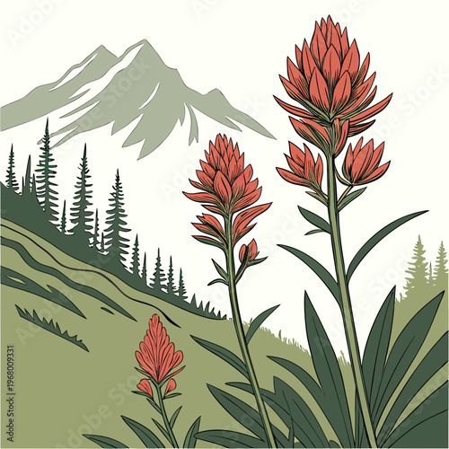 A vibrant illustration depicts fiery red indian paintbrush wildflowers blossoming against a backdrop of lush green mountains and pine trees