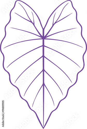 Minimalist purple taro leaf vector illustration, elegant tropical plant foliage, botanical outline design element, natural organic graphic resource for branding and web design