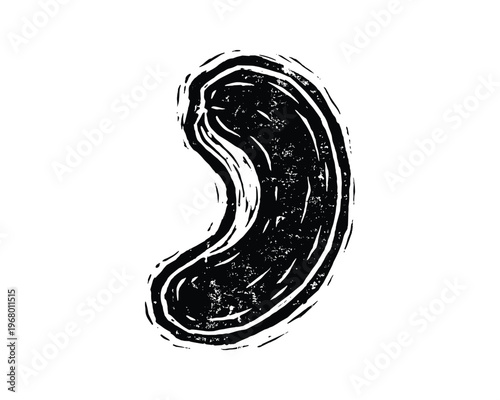 One legume, uncooked bean illustration, healthy food element, monochrome drawing.