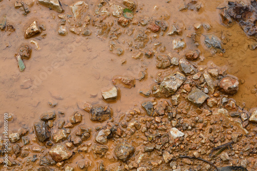 A full-frame, high-angle view of wet, muddy ground with various sizes of stones and small puddles