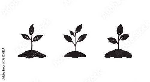 Set of three small plants growing in soil with green leaves and stems  isolated on white background