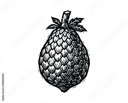 Tropical fruit artwork, detailed linocut print of a pineapple, exotic and organic food.