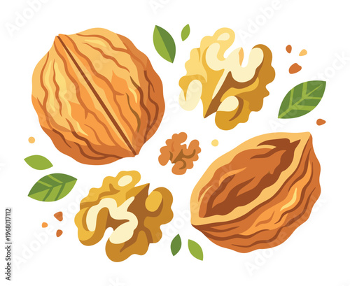 Walnut kernels whole nuts shells scattered with green leaves food natural healthy snack ingredient