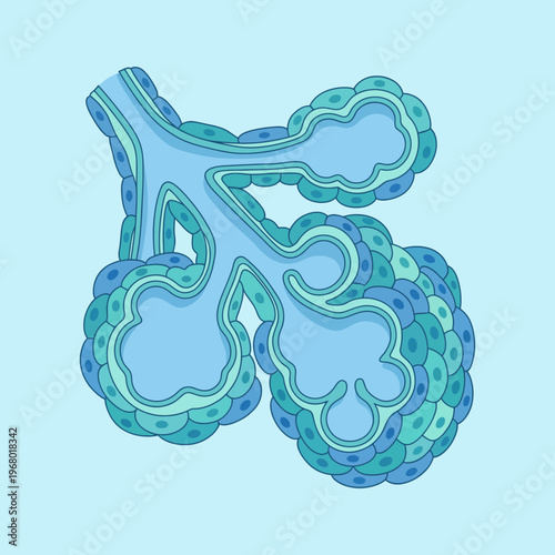 An abstract illustration of a biological structure featuring interconnected cells in soothing blue tones, representing the complexity and beauty of life at a microscopic level.