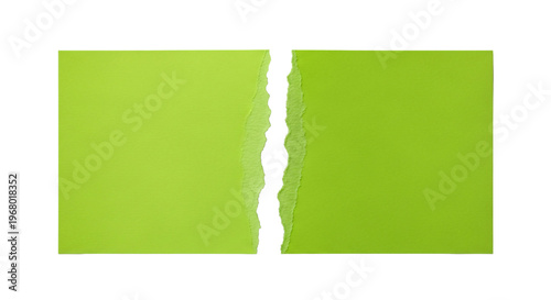 Fotografie Green paper torn in half on transparent background.