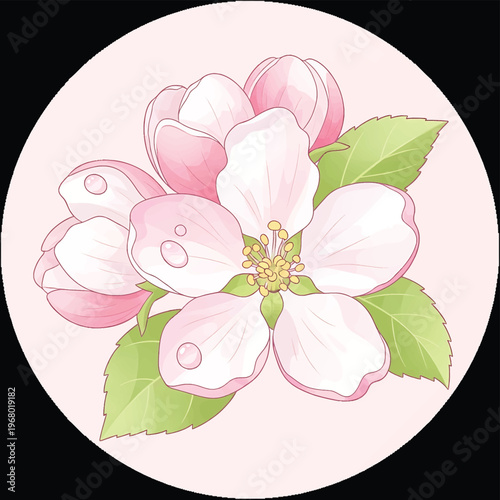 Beautiful Pink Flower Blossom Closeup View.