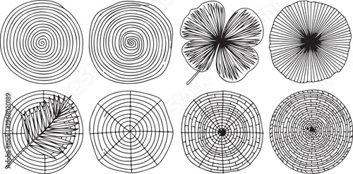 Complex mathematical patterns created with parametric curves and polar coordinates Vector