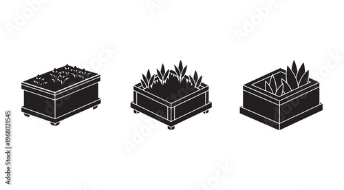 Three black planters with different plants growing out of them in a row on white background  planters have small feet and are rectangular in shape