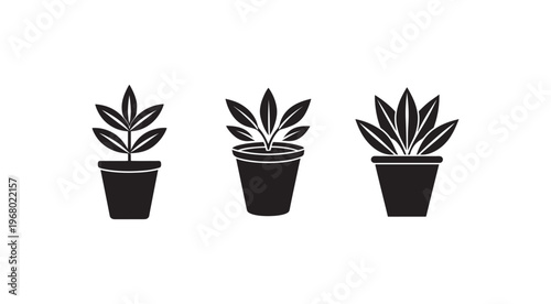 Three black silhouette plants in pots with multiple leaves isolated on white background  houseplants for interior design and gardening concepts