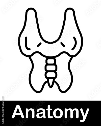 Human Thyroid Gland Anatomy Line Icon Endocrine System Organ with Hormone Function Medical Vector Illustration