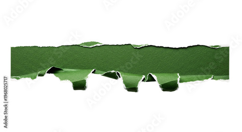 Εκτύπωση καμβά Torn green paper with folded ragged edges.