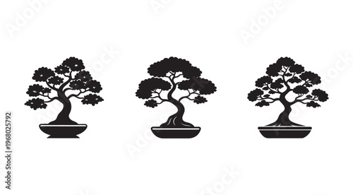 Three bonsai trees in pots with different shapes and sizes  isolated on white background