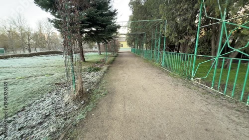 Wallpaper Mural Bright sunlight shines through the branches of tall, leafless trees. The warm light against the cold morning air creates a peaceful and hopeful feeling in the quiet park. Torontodigital.ca