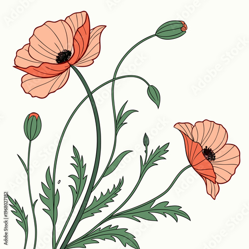 A delicate illustration showcases vibrant orange poppy flowers with slender green stems and unopened buds against a pale backdrop